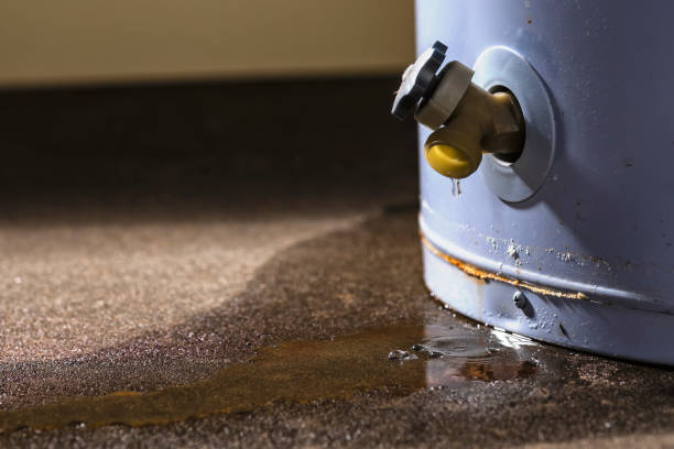 Best Ceiling water damage repair  in Rainbow, CA