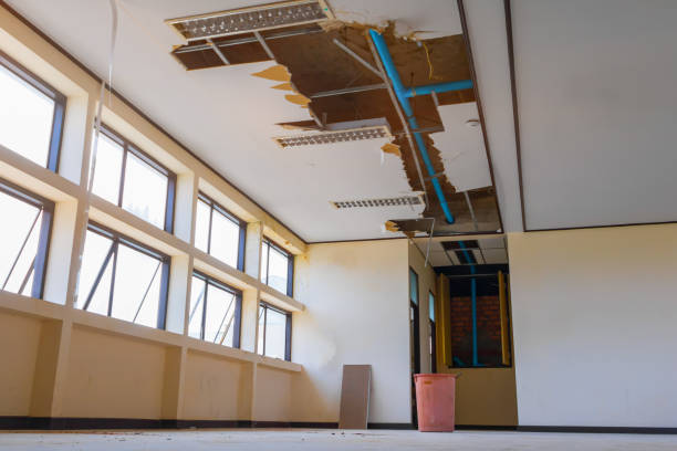 Best Water damage restoration insurance claims  in Rainbow, CA