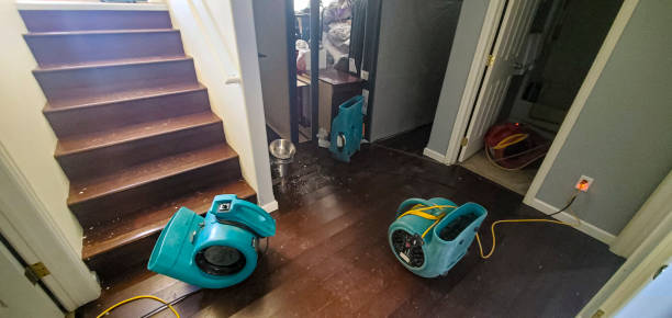 Best Flood restoration services  in Rainbow, CA