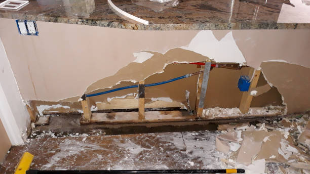 Best Flood damage cleanup  in Rainbow, CA
