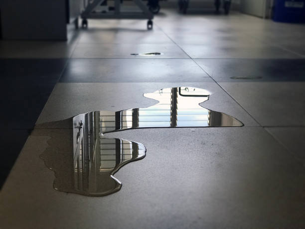 Best Local water damage restoration  in Rainbow, CA