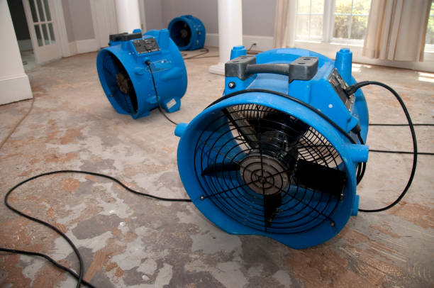 Best Water damage restoration experts  in Rainbow, CA
