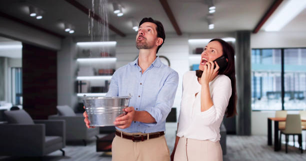  Rainbow, CA Water damage restoration Pros